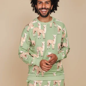 Alpaca Meadow Sweater Heren