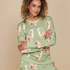 Alpaca Meadow Sweater Dames