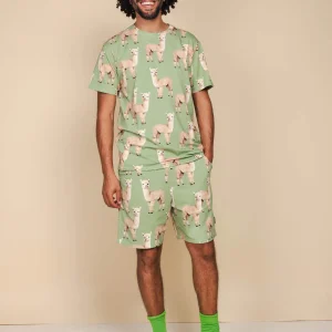 Alpaca Meadow T-shirt en Shorts set Heren