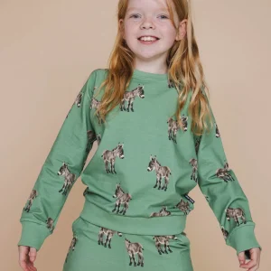 Donkeys Sweater Kids