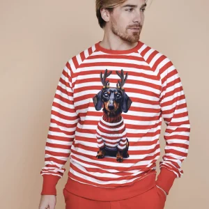Pierre Xmas Sweater Heren