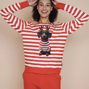 Pierre Xmas Sweater Dames