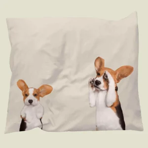 Beagle Friends kussensloop UK
