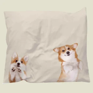 Corgi Friends kussensloop DE